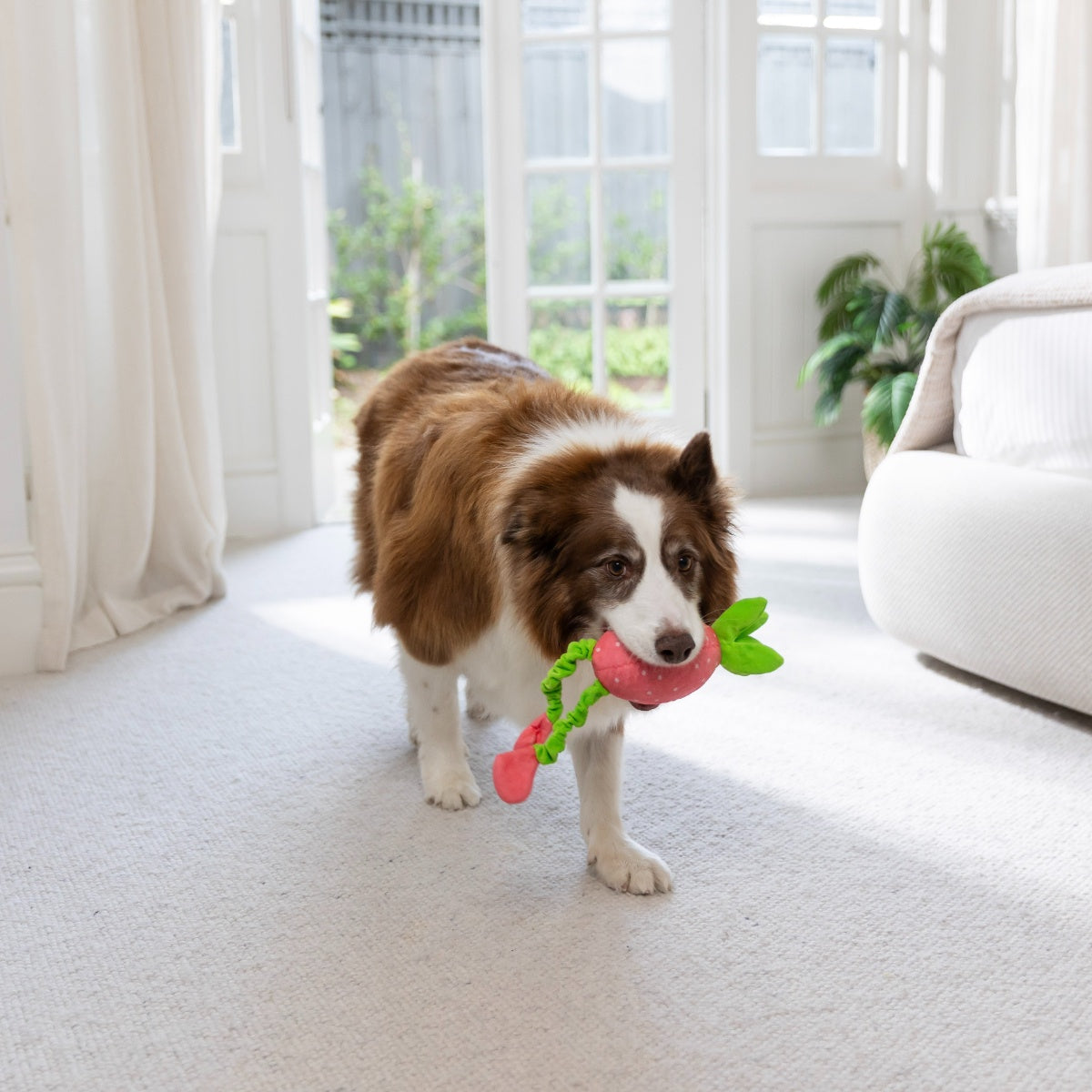 Lexi & Me Strawberry Shred & Satisfy Dog Toy