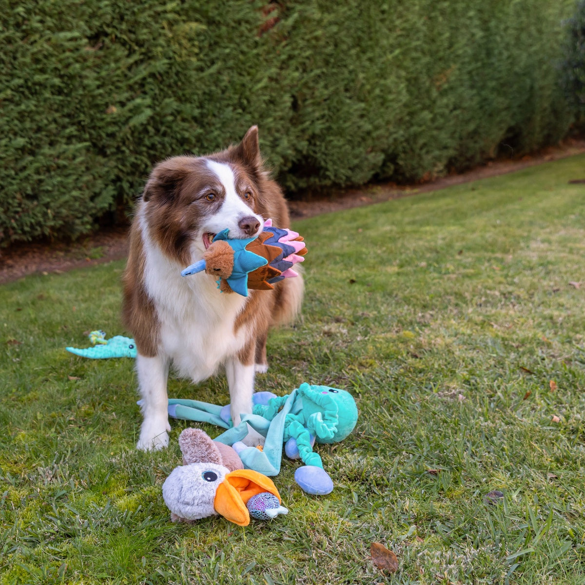 Lexi & Me Pelican Plush & Rope Dog Toy