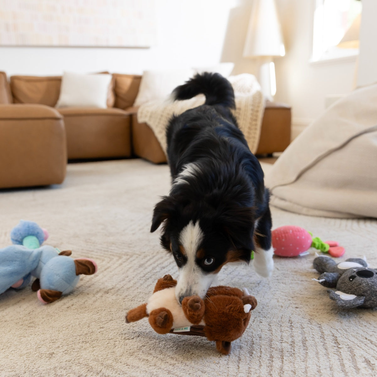 Lexi & Me Boar Plush Dog Toy
