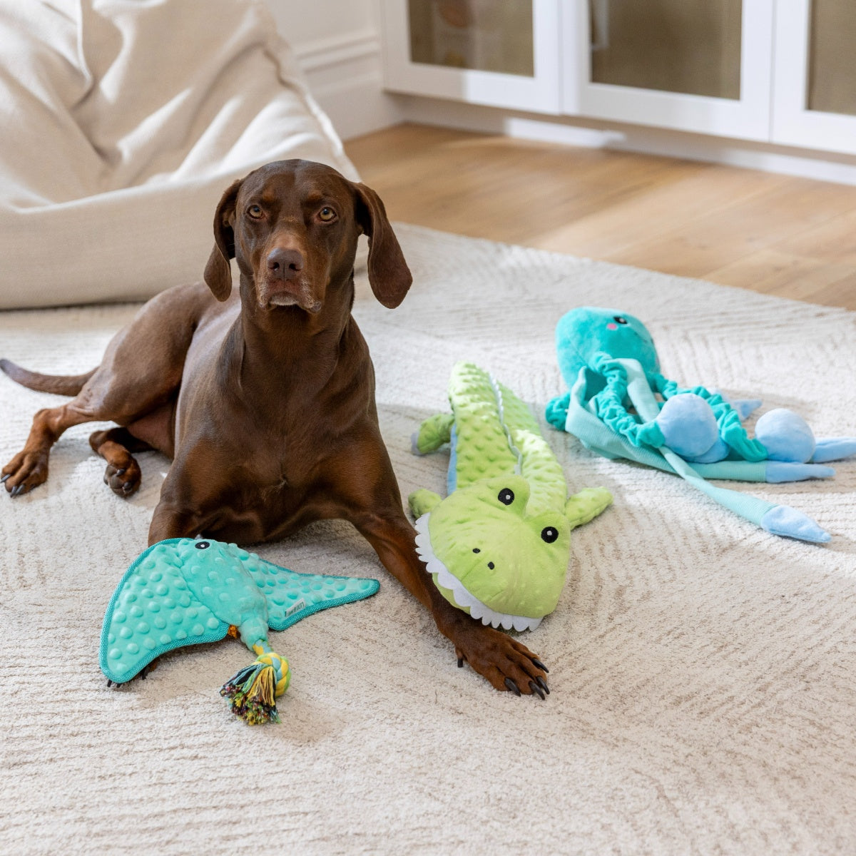 Lexi & Me Stingray Plush & Rope Dog Toy