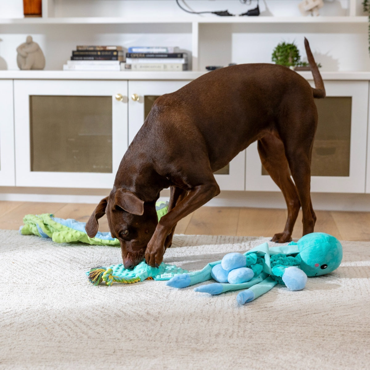 Lexi & Me Stingray Plush & Rope Dog Toy
