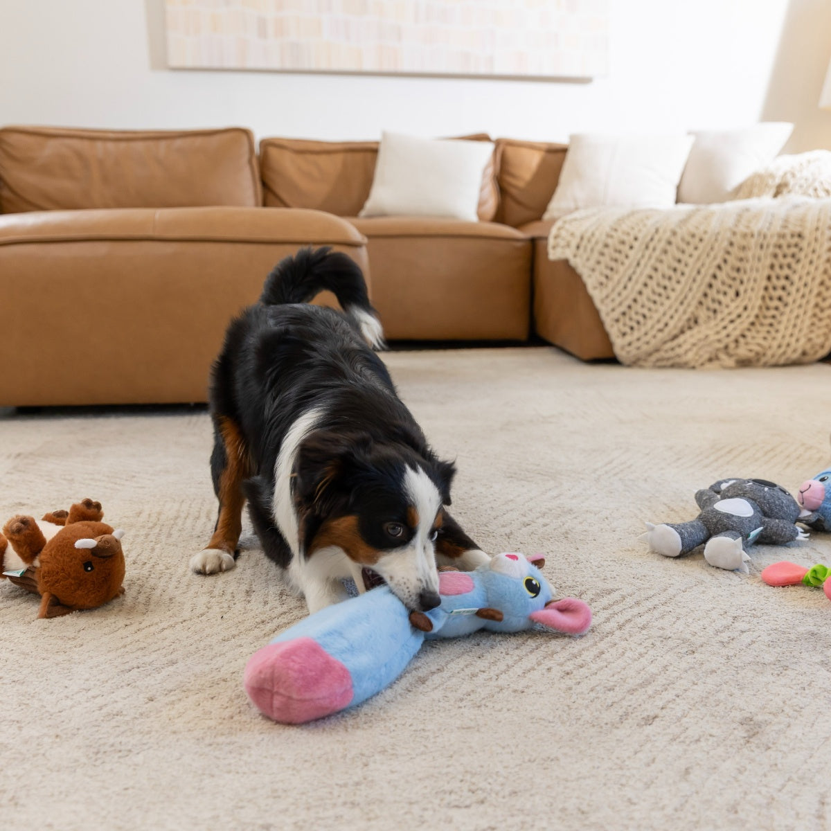 Lexi & Me Bottle Tail Possum Dog Toy