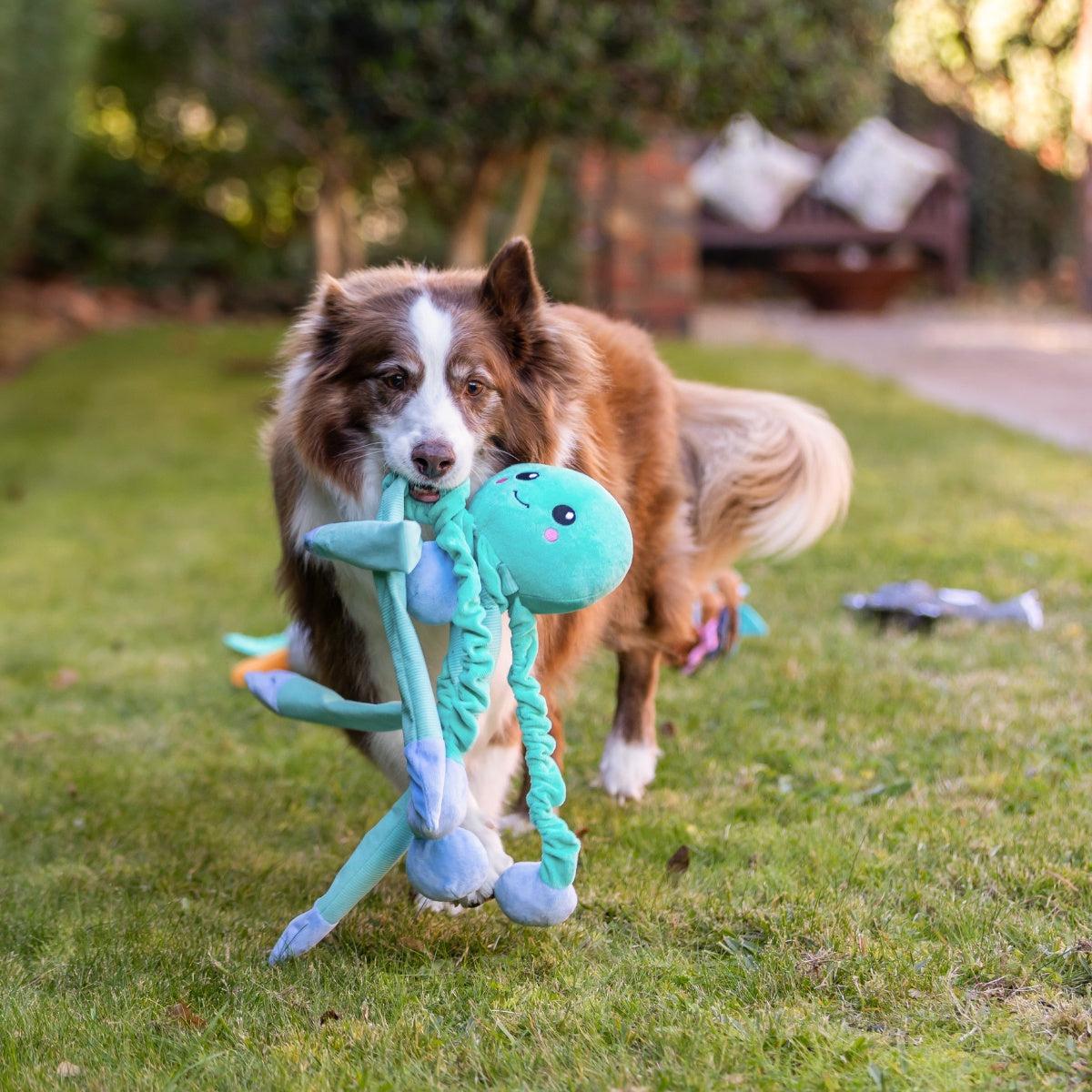Lexi & Me Bungy Legs Octopus Dog Toy