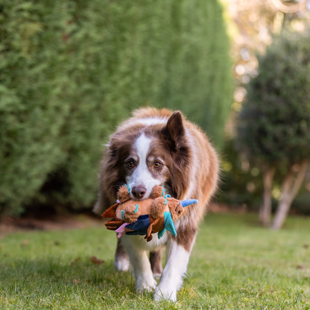 Lexi & Me Echidna Snuffle Dog Toy