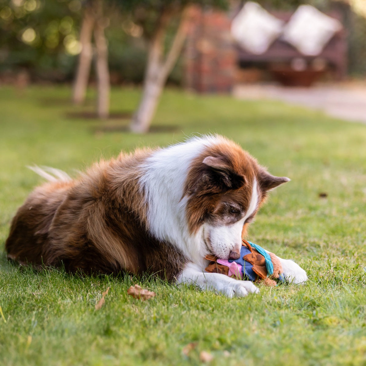 Lexi & Me Echidna Snuffle Dog Toy
