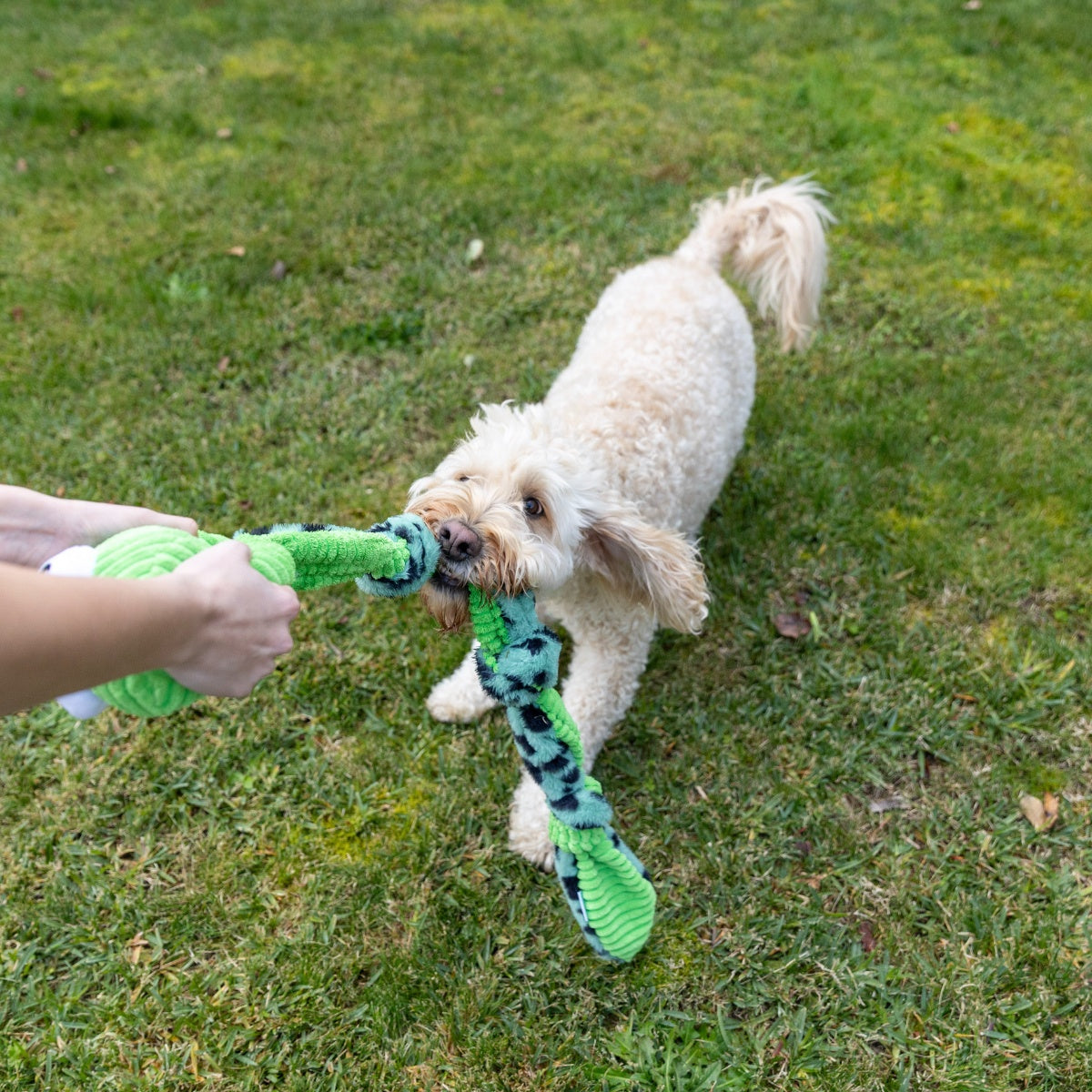 Lexi & Me Snake Knot Plush & Rope Dog Toy