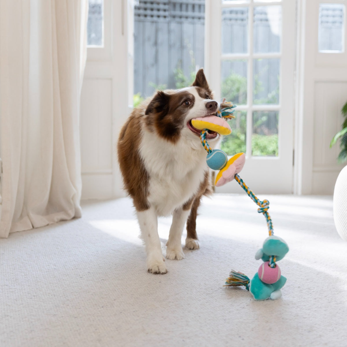 Lexi & Me Clam & Pearl Rope Dog Toy