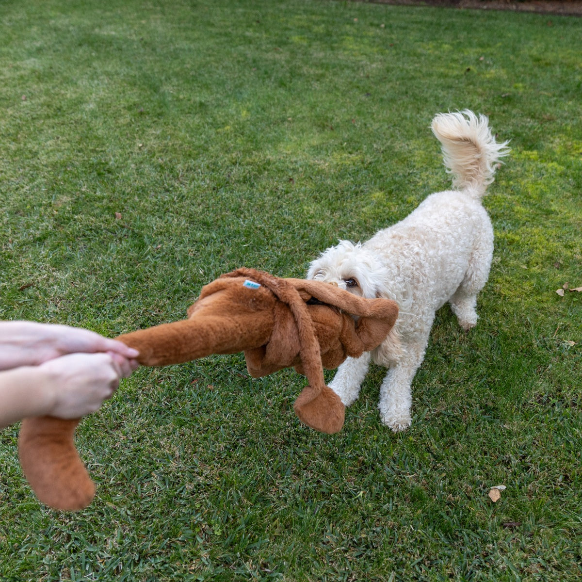 Lexi & Me Kangaroo Long Limb Dog Toy