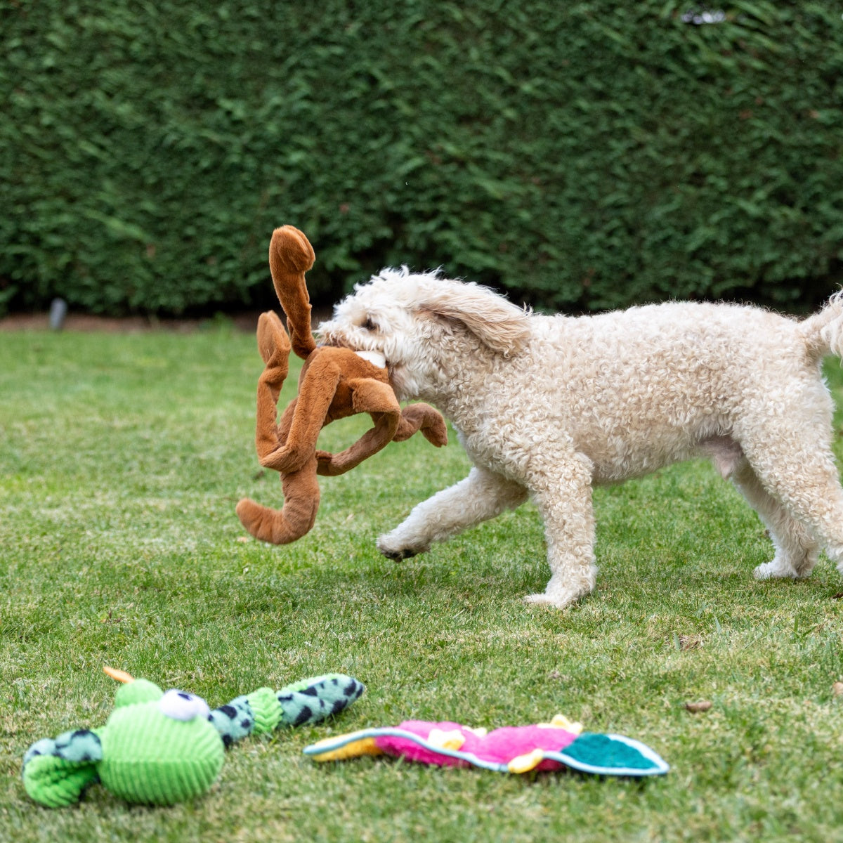 Lexi & Me Kangaroo Long Limb Dog Toy