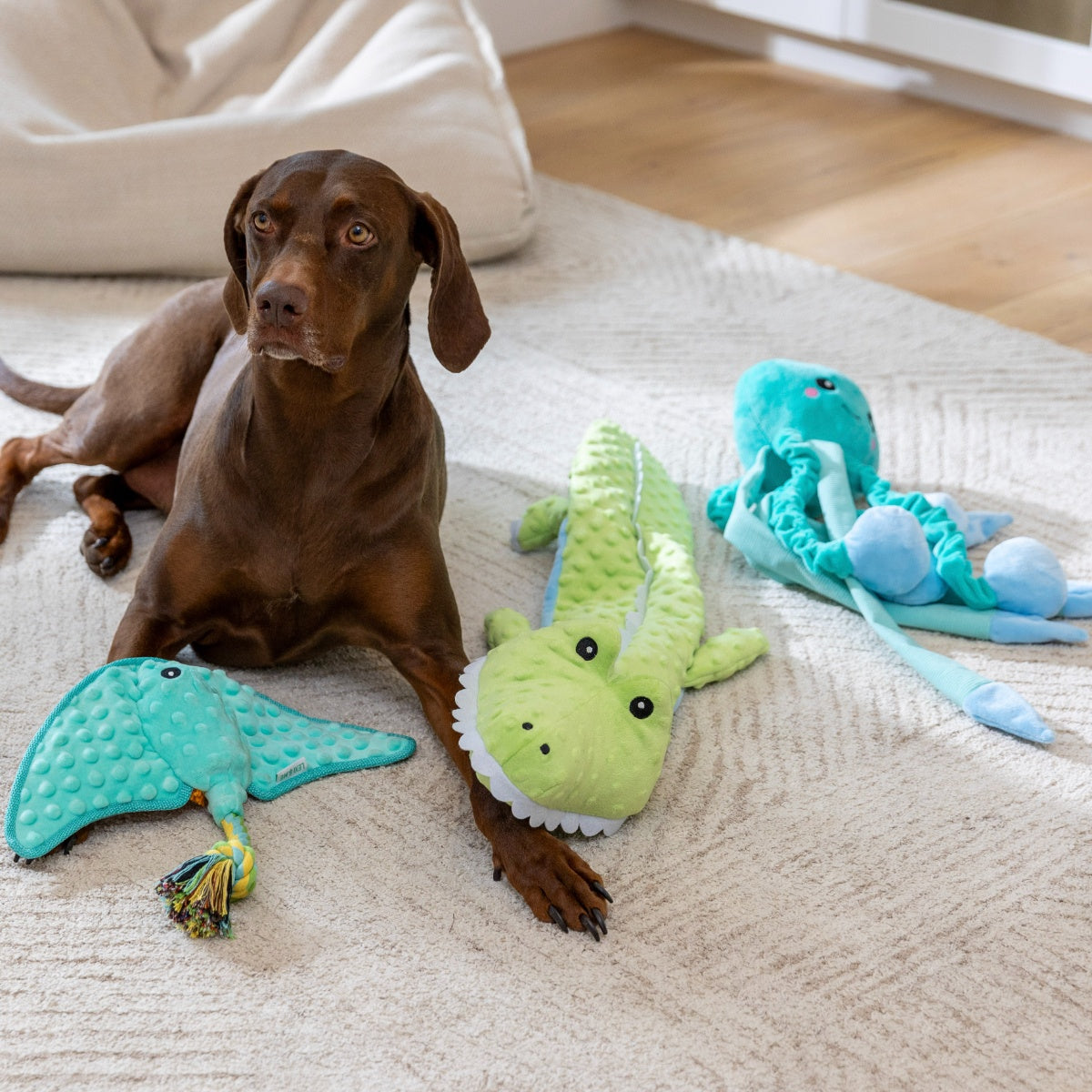Lexi & Me Crocodile Multi-Squeaker Dog Toy