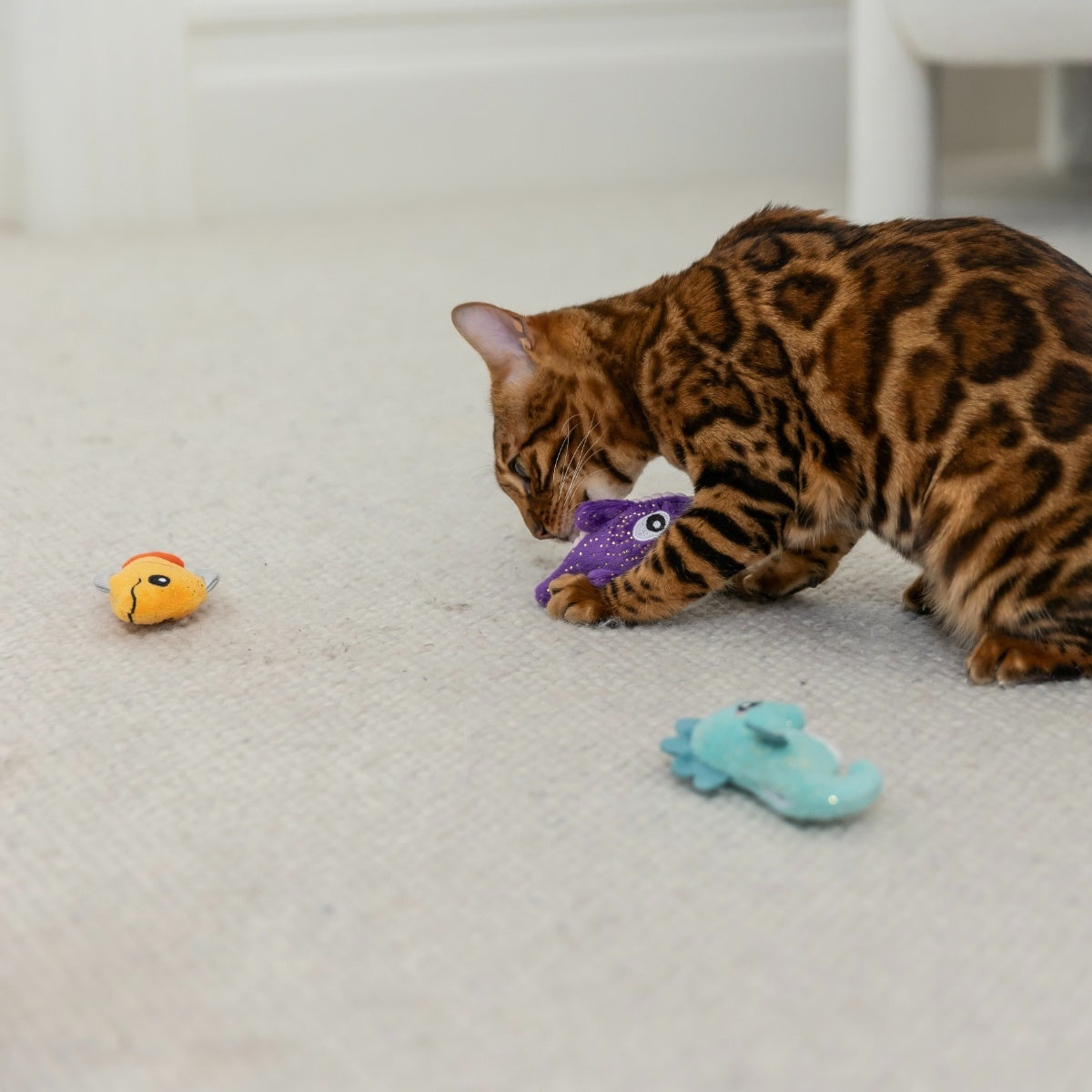 Lexi & Me Under the Sea Trio Cat Toys