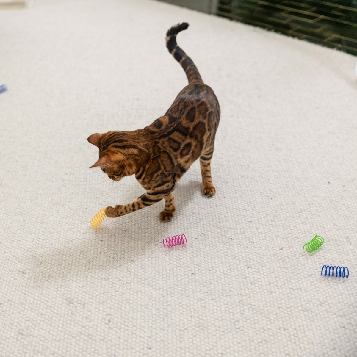 Lexi & Me Cat Spring Toy