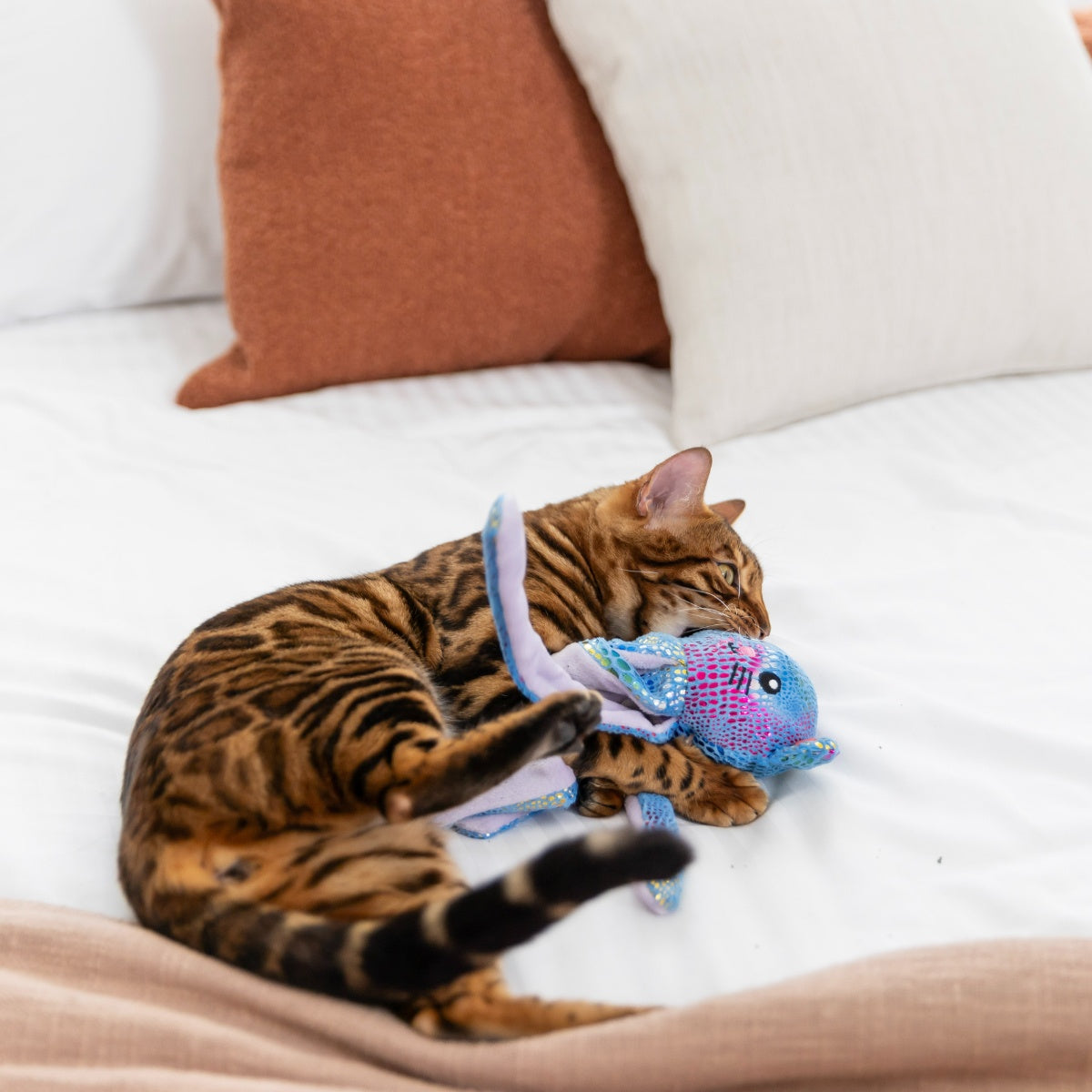Lexi & Me Crinkle Catopus Cat Toy