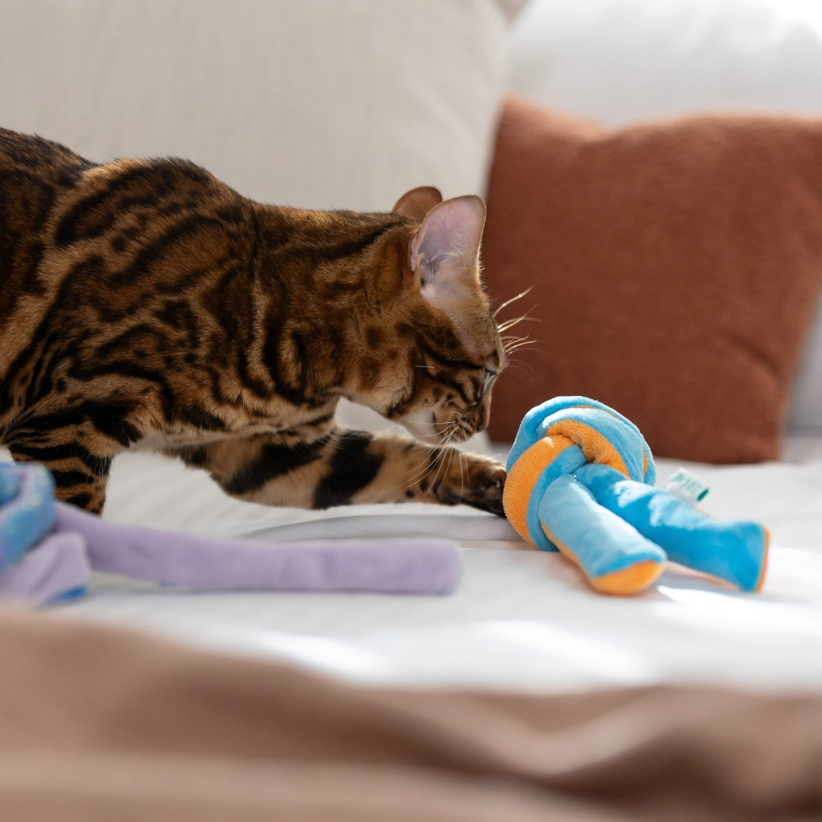 Lexi & Me Snuffle Knot Ball Cat Toy