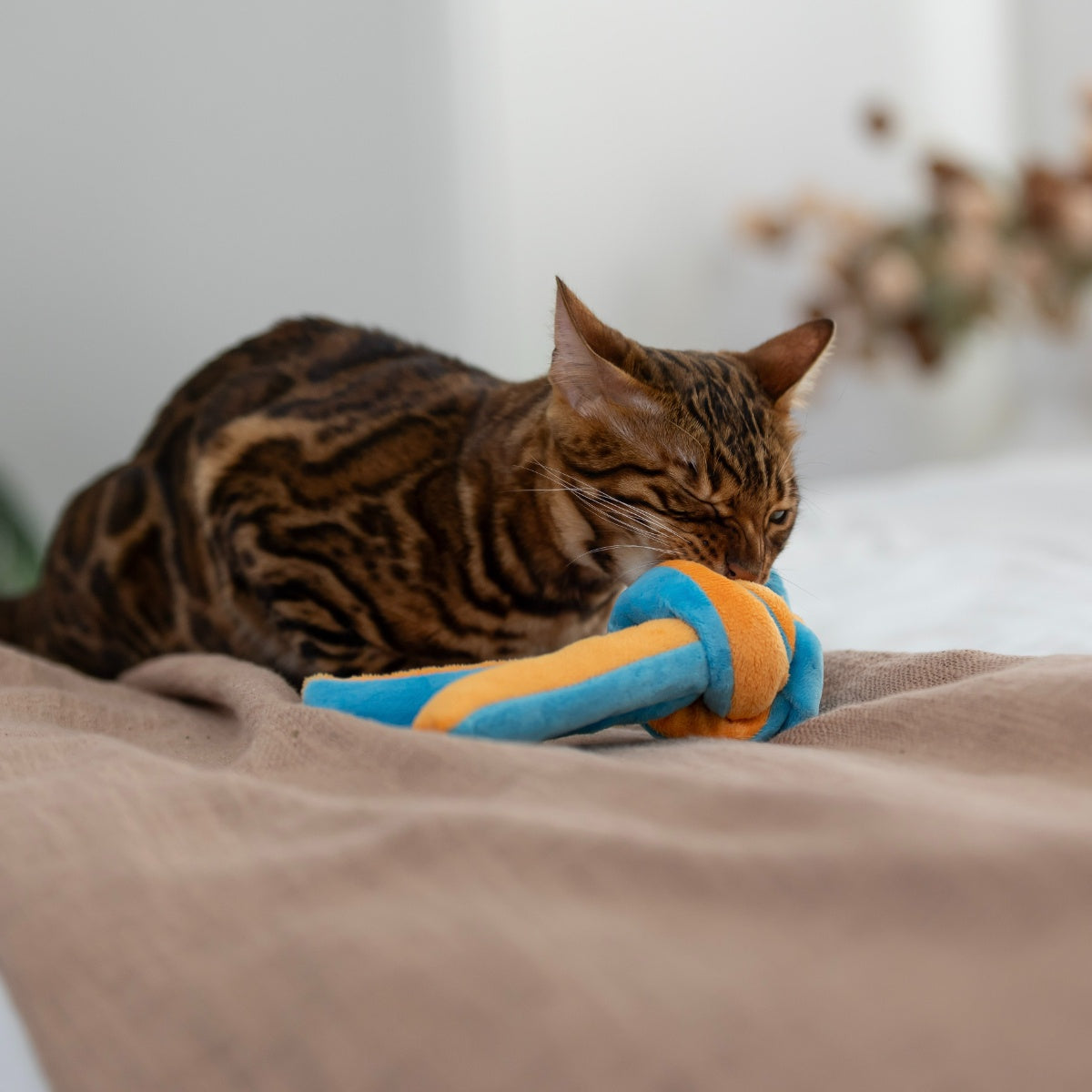Lexi & Me Snuffle Knot Ball Cat Toy