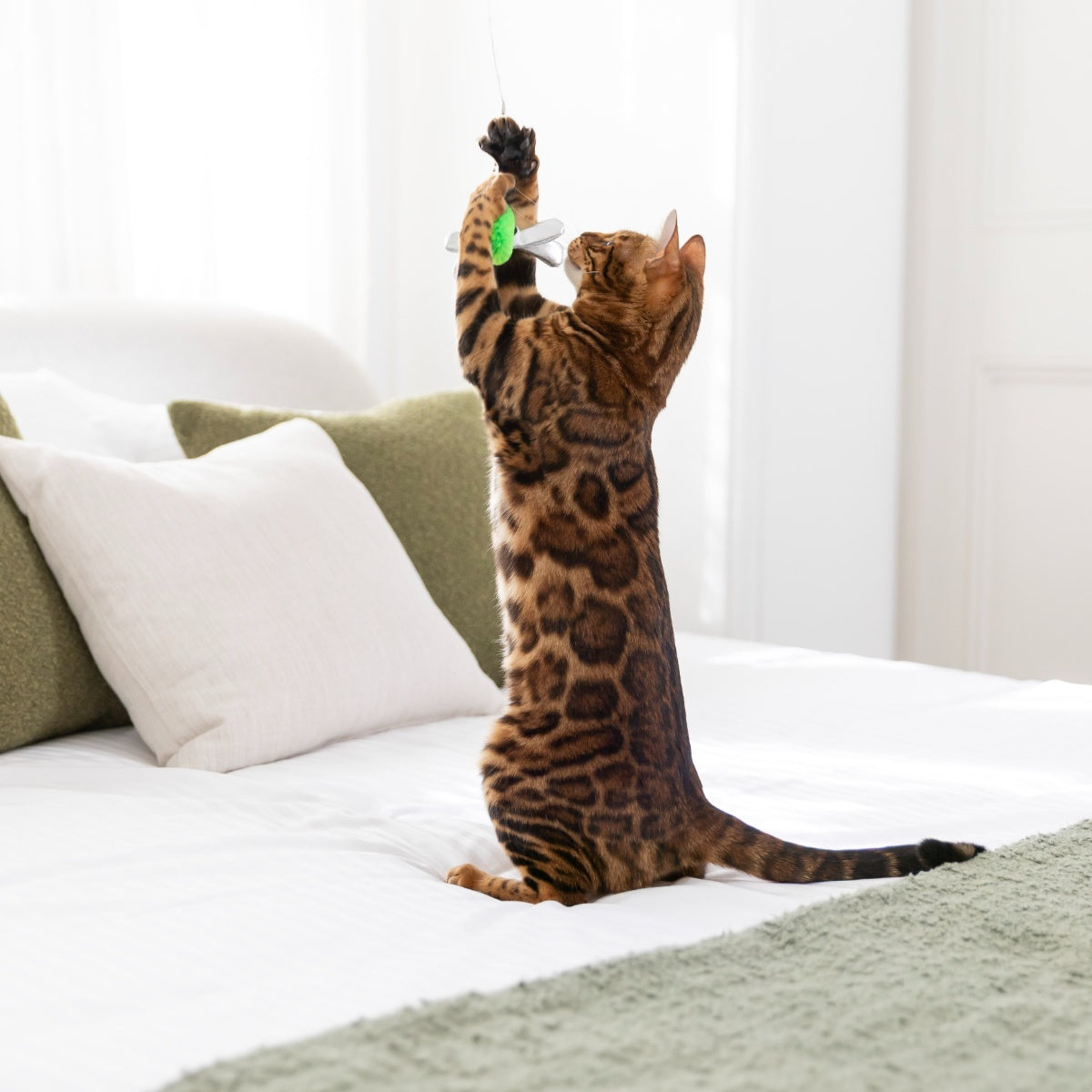Lexi & Me 5-in-1 Critter Teaser Cat Wand