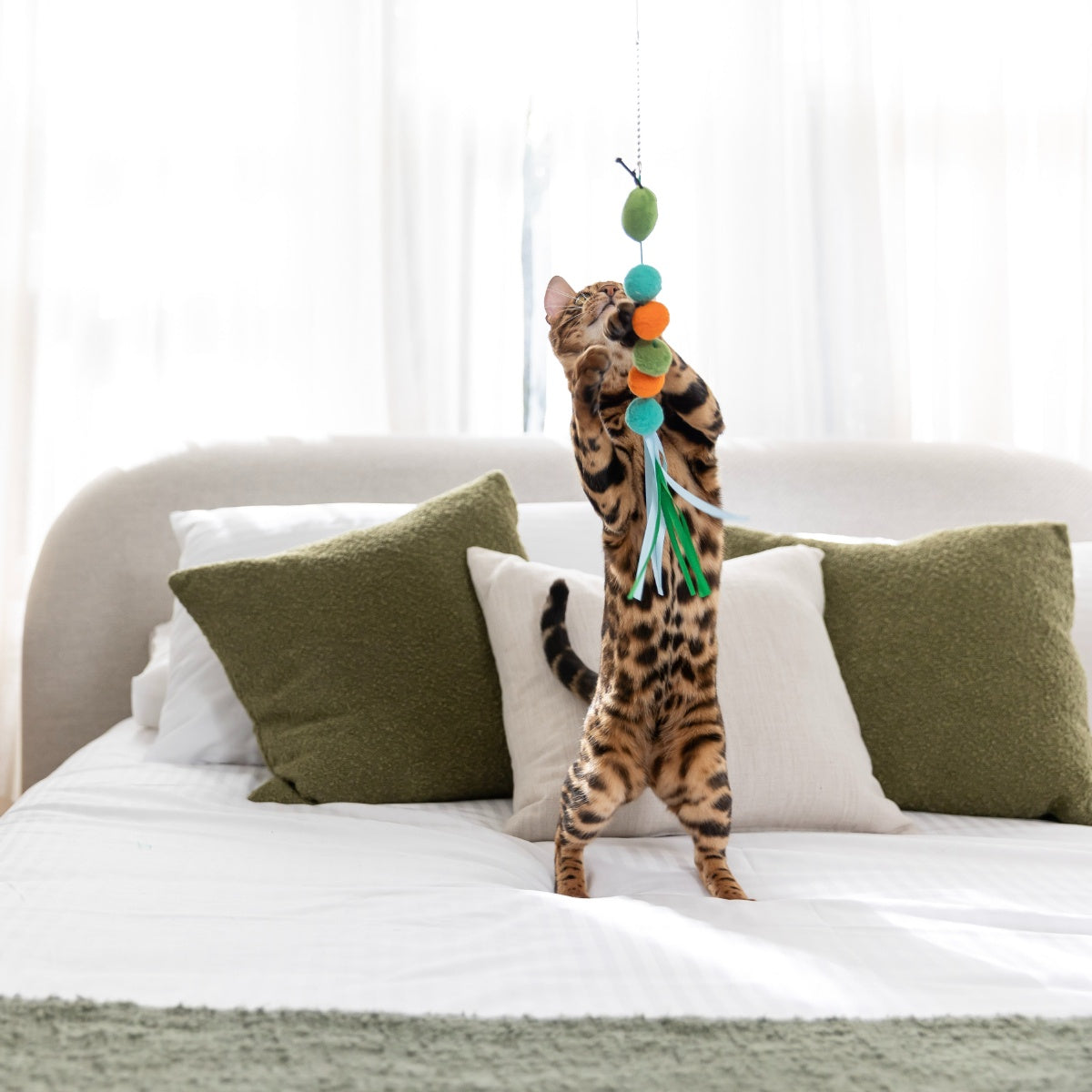Lexi & Me 5-in-1 Critter Teaser Cat Wand