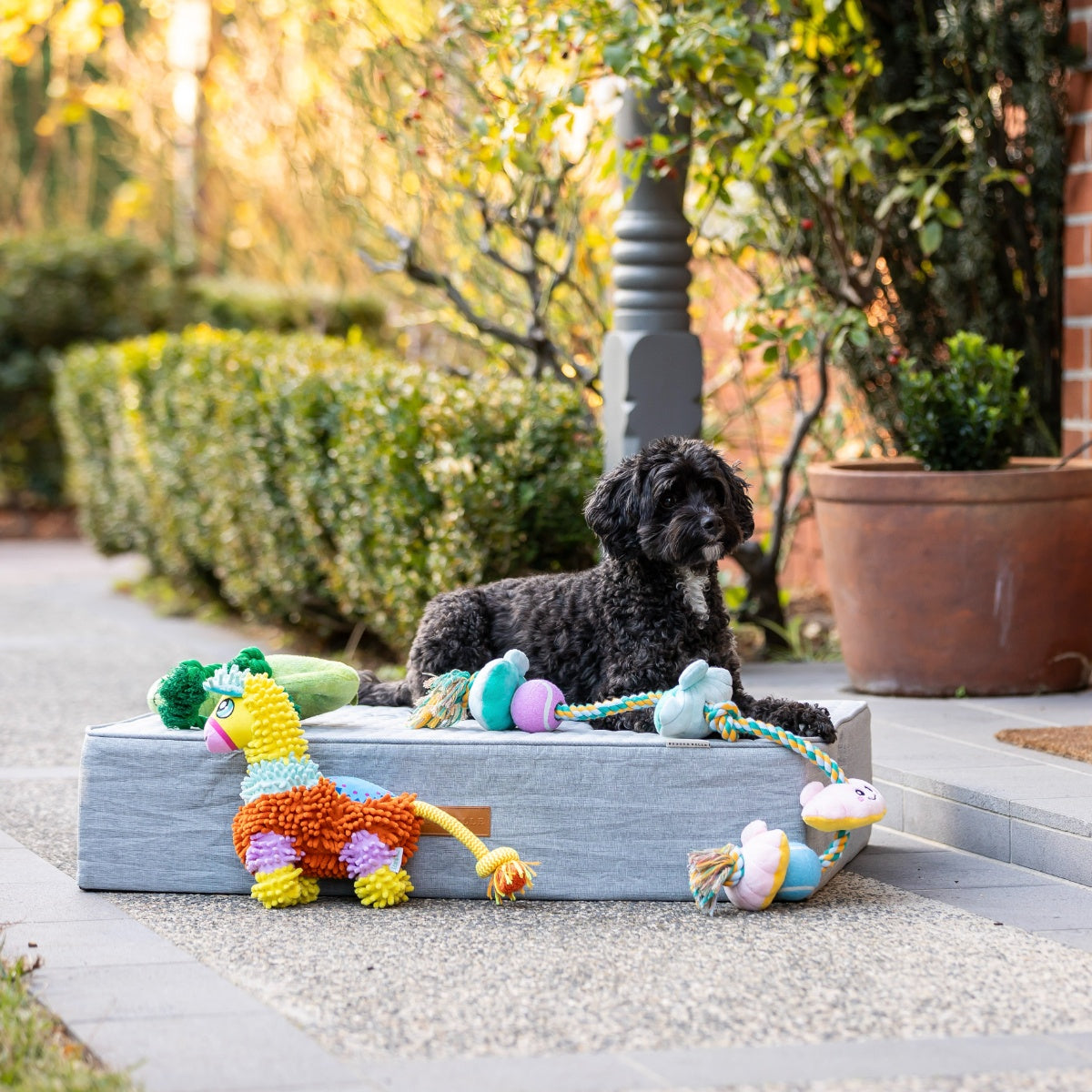 Lexi & Me Pinata Plush & Rope Dog Toy