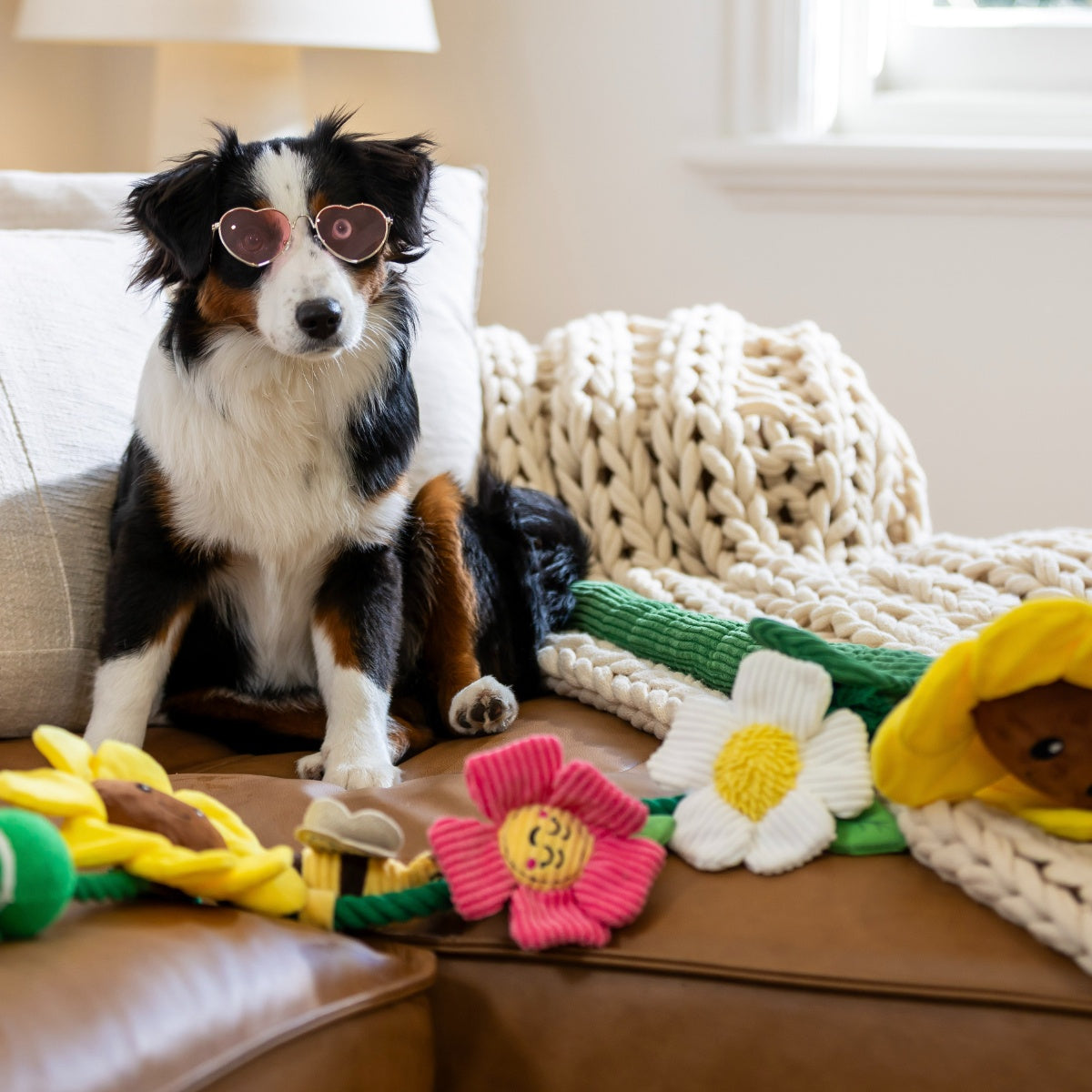 Lexi & Me Flower & Bee Rope Dog Toy