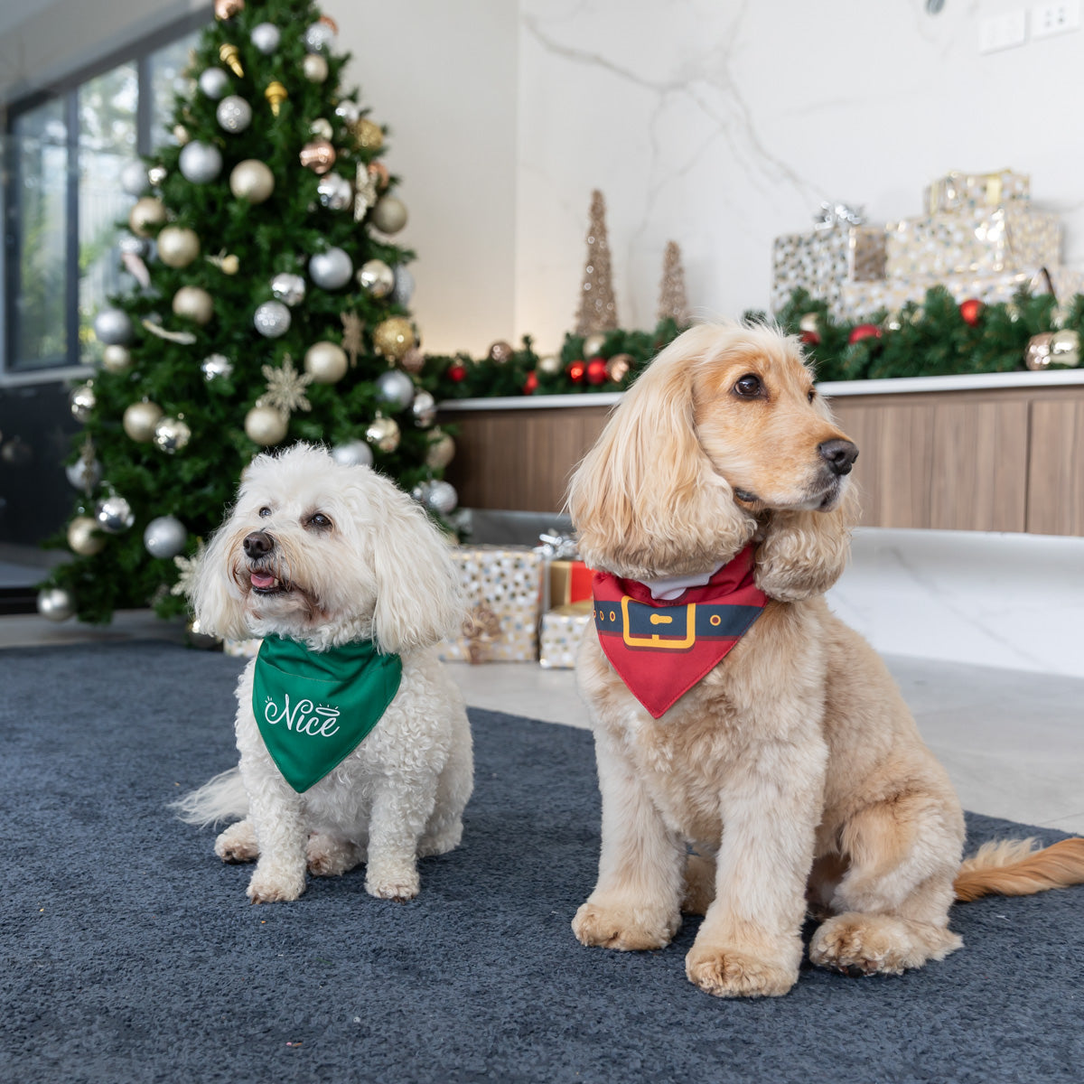 Petstock Foundation Christmas Santa or Elf Dog Bandana