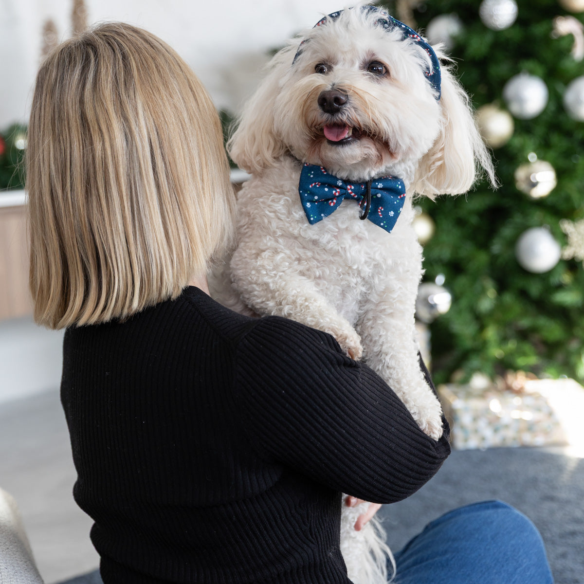 Petstock Christmas Bow-Tie Dog & Cat Collar Accessory