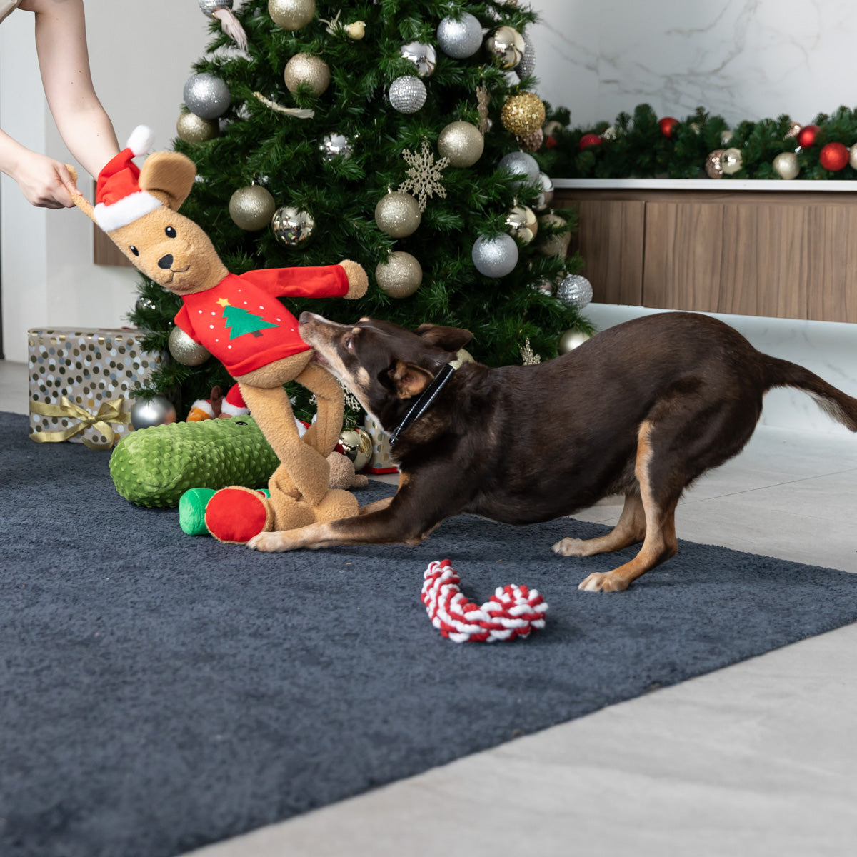 Petstock Christmas Long Leg Golden Retriever Plush Dog Toy
