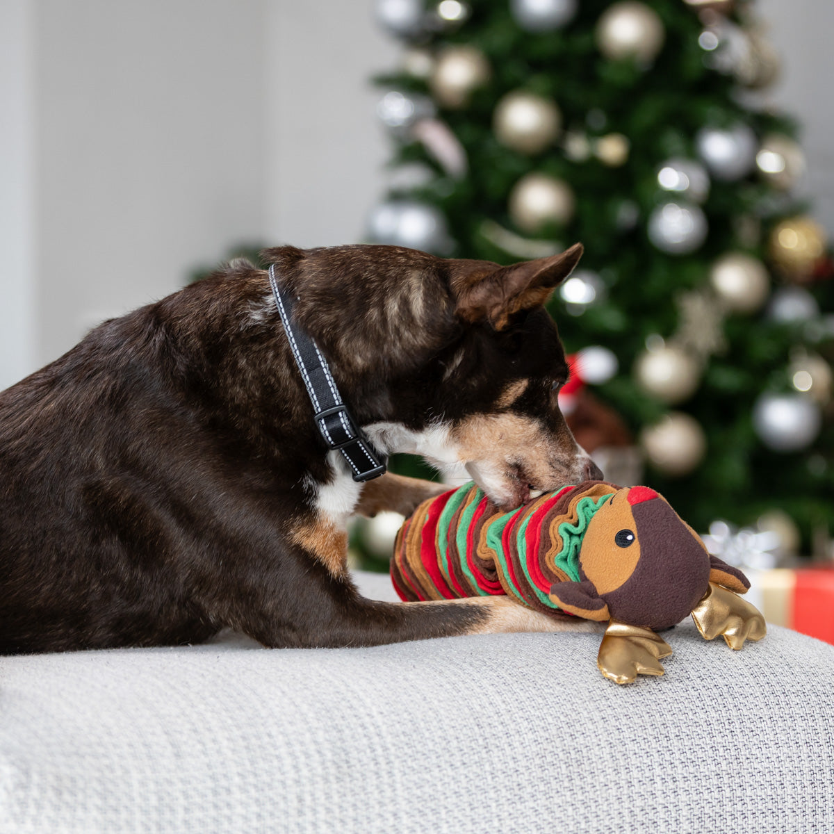 Petstock Christmas Reindeer Snuffle Dog Toy