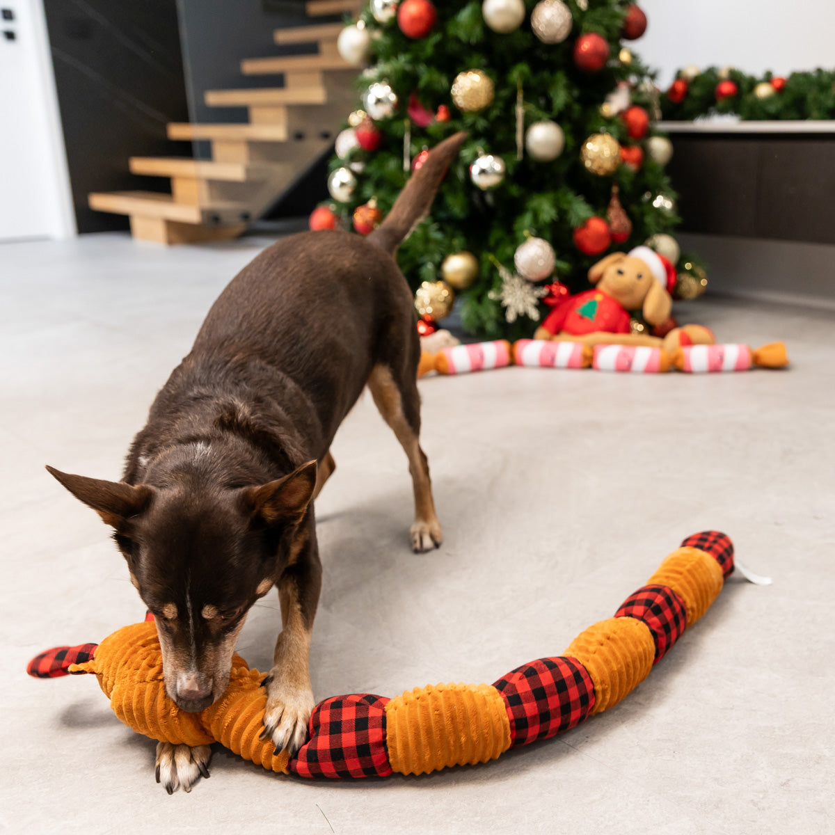Petstock Christmas Long Reindeer Plush Dog Toy