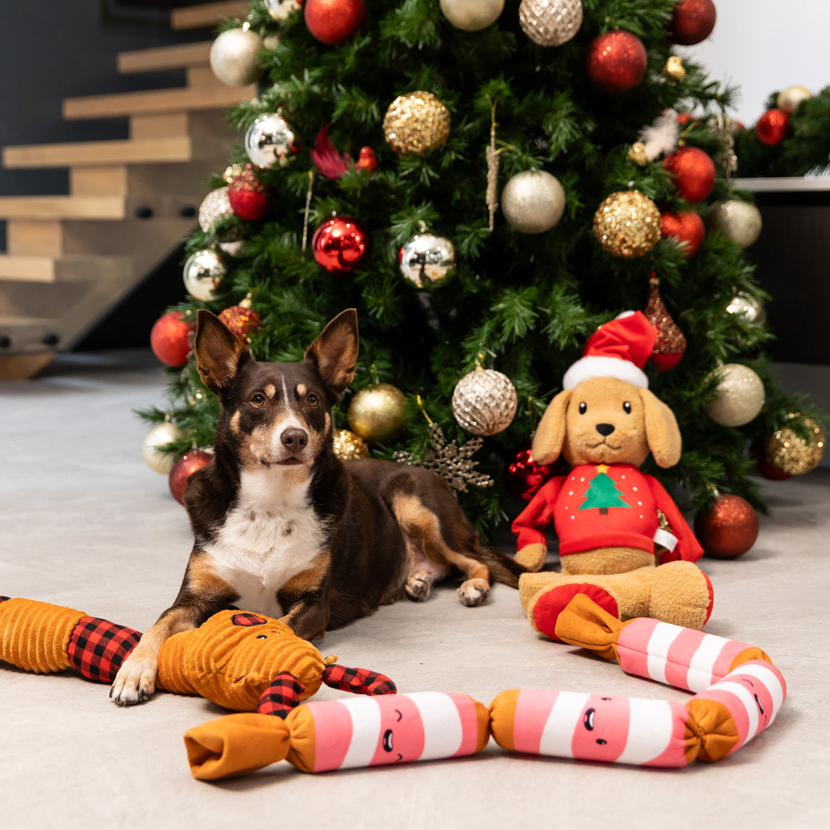 Petstock Christmas Long Reindeer Plush Dog Toy