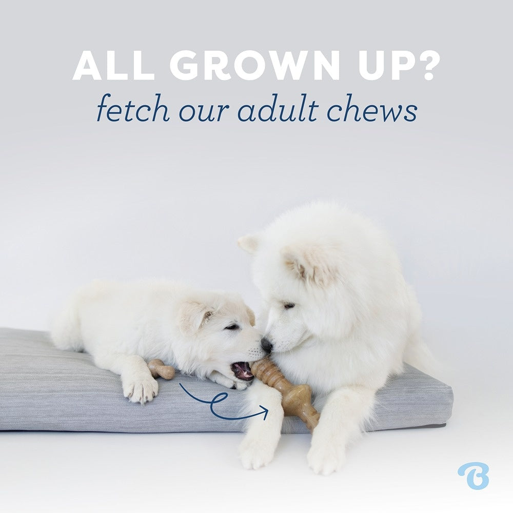 Benebone Fishbone Puppy Chew Toy