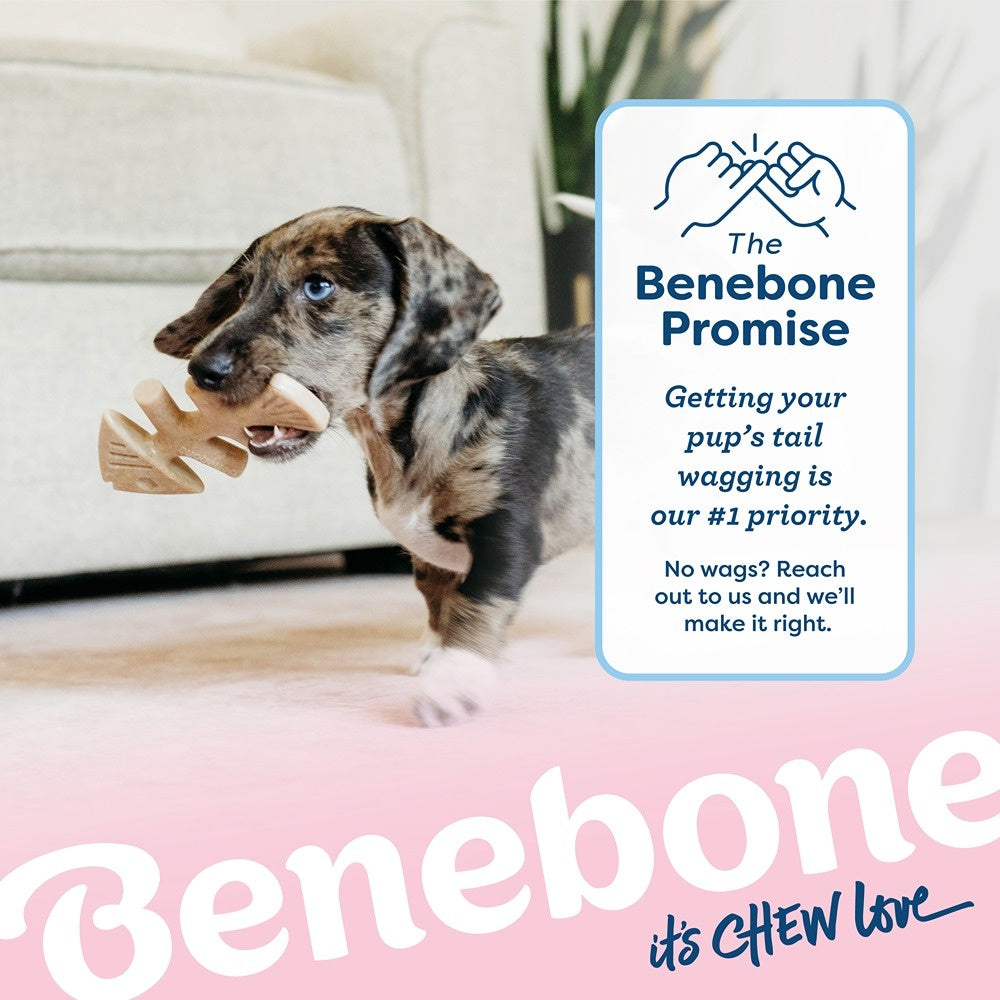 Benebone Fishbone Puppy Chew Toy