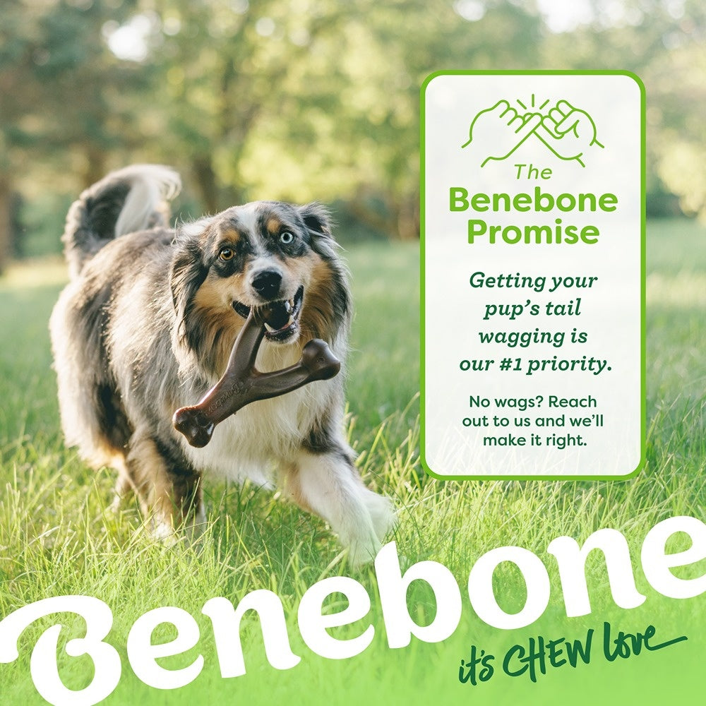 Benebone Bacon Wishbone Dog Chew Toy