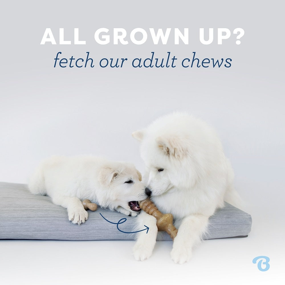 Benebone Bacon Wishbone Puppy Chew Toy