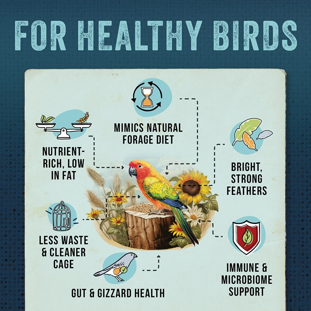 Aus Organic Feeds Budgie & Small Parrot Ultimate Seed Mix