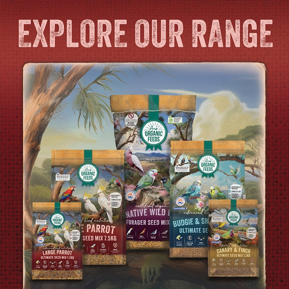 Aus Organic Feeds Large Parrot Ultimate Seed Mix