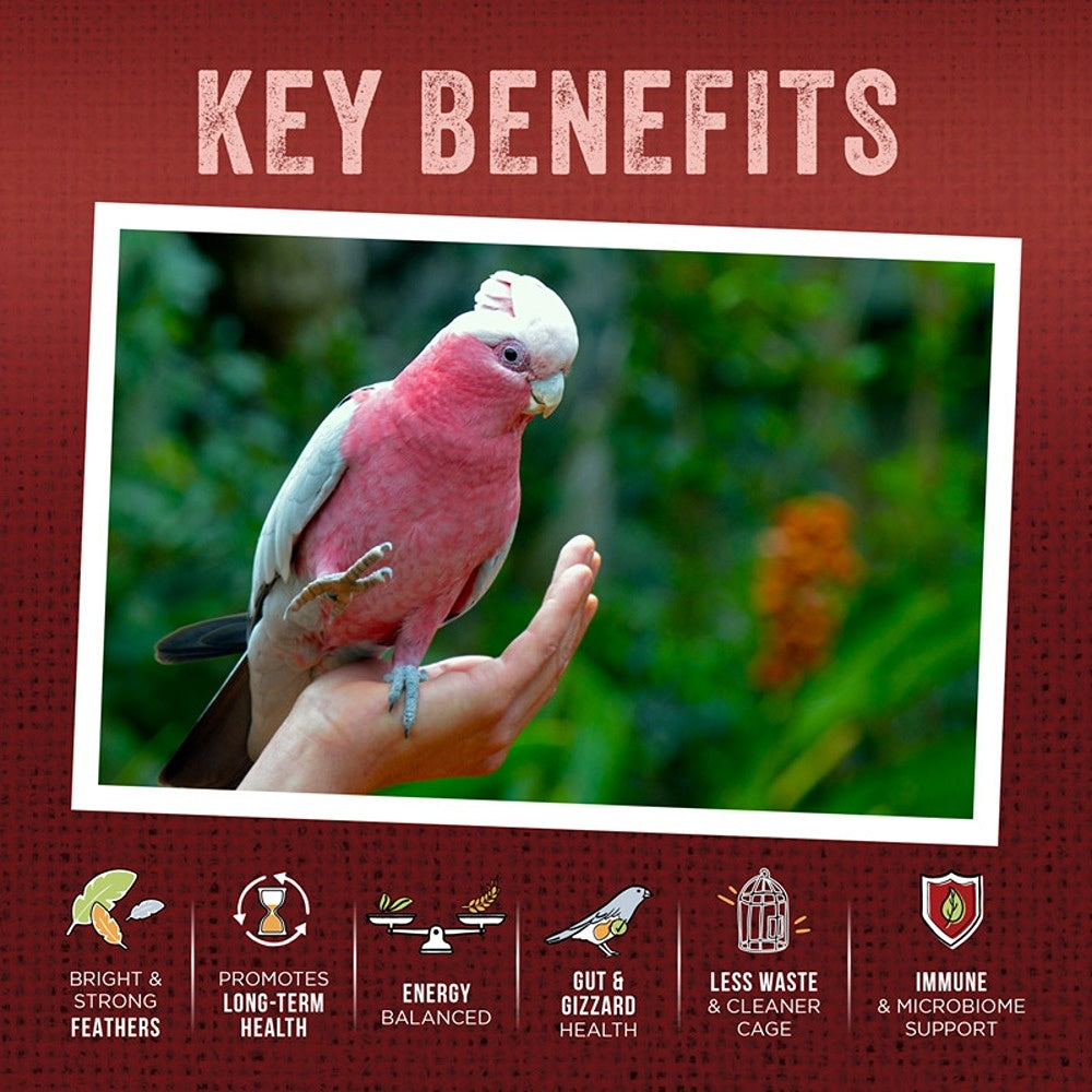 Aus Organic Feeds Large Parrot Ultimate Seed Mix
