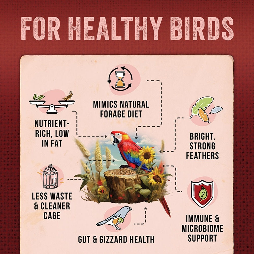 Aus Organic Feeds Large Parrot Ultimate Seed Mix