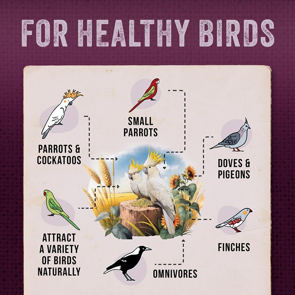 Aus Organic Feeds Native Wild Bird Forager Seed Mix