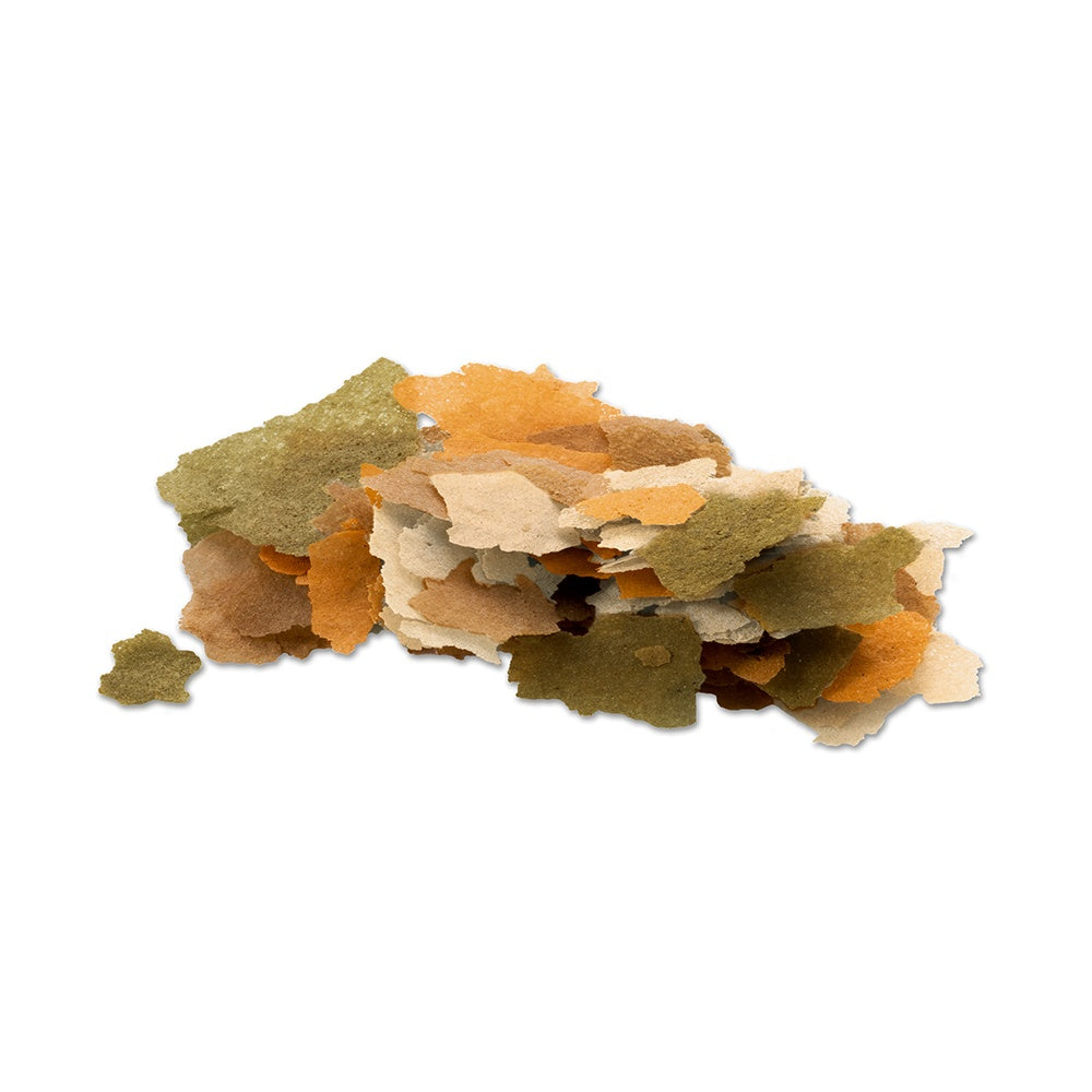 TetraMin Flakes Fish Food