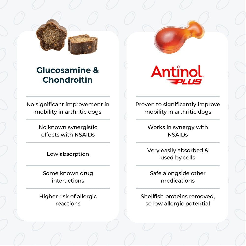 Antinol Plus Dog Joint Supplement Capsules