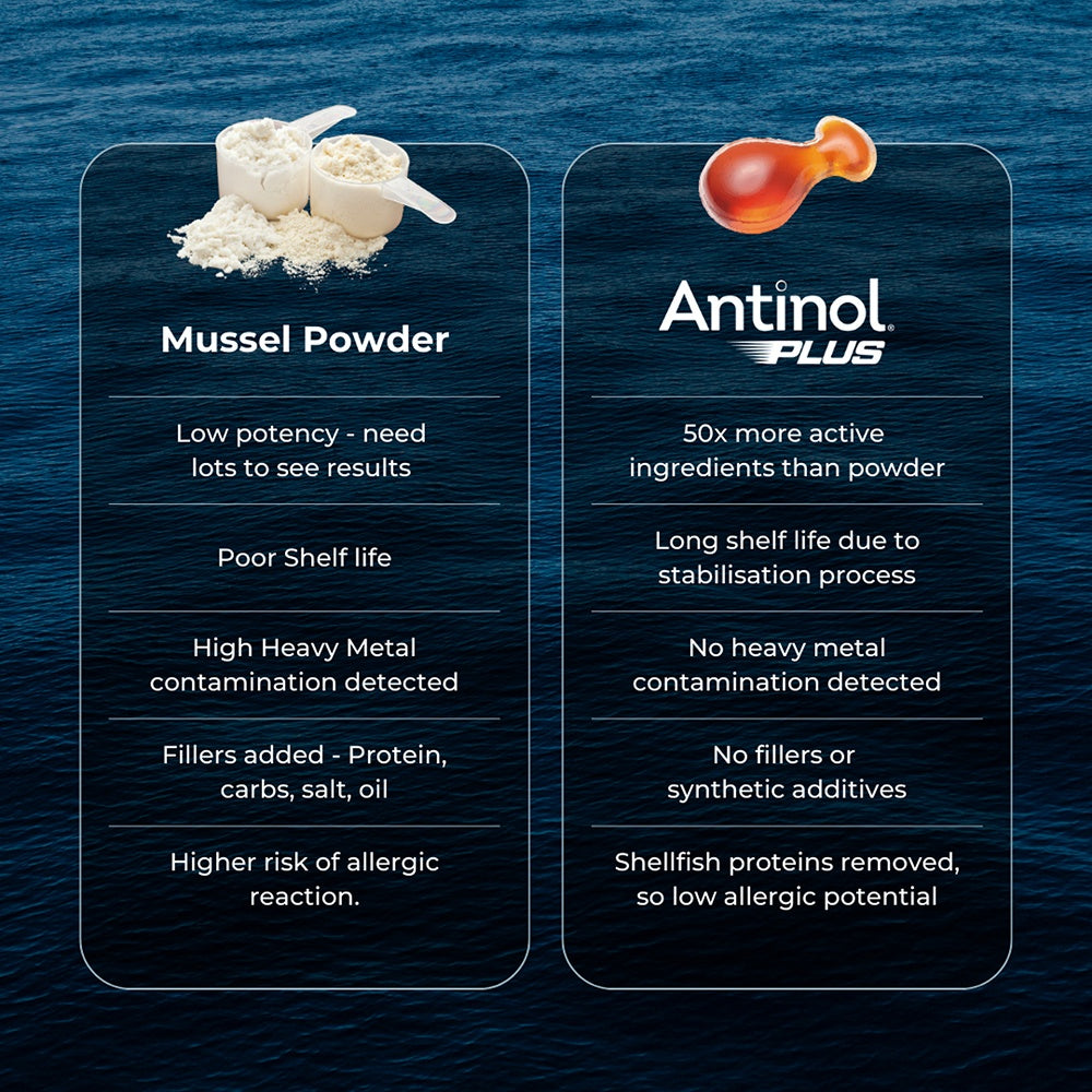 Antinol Plus Easy Feed Cat Joint Supplement Capsules