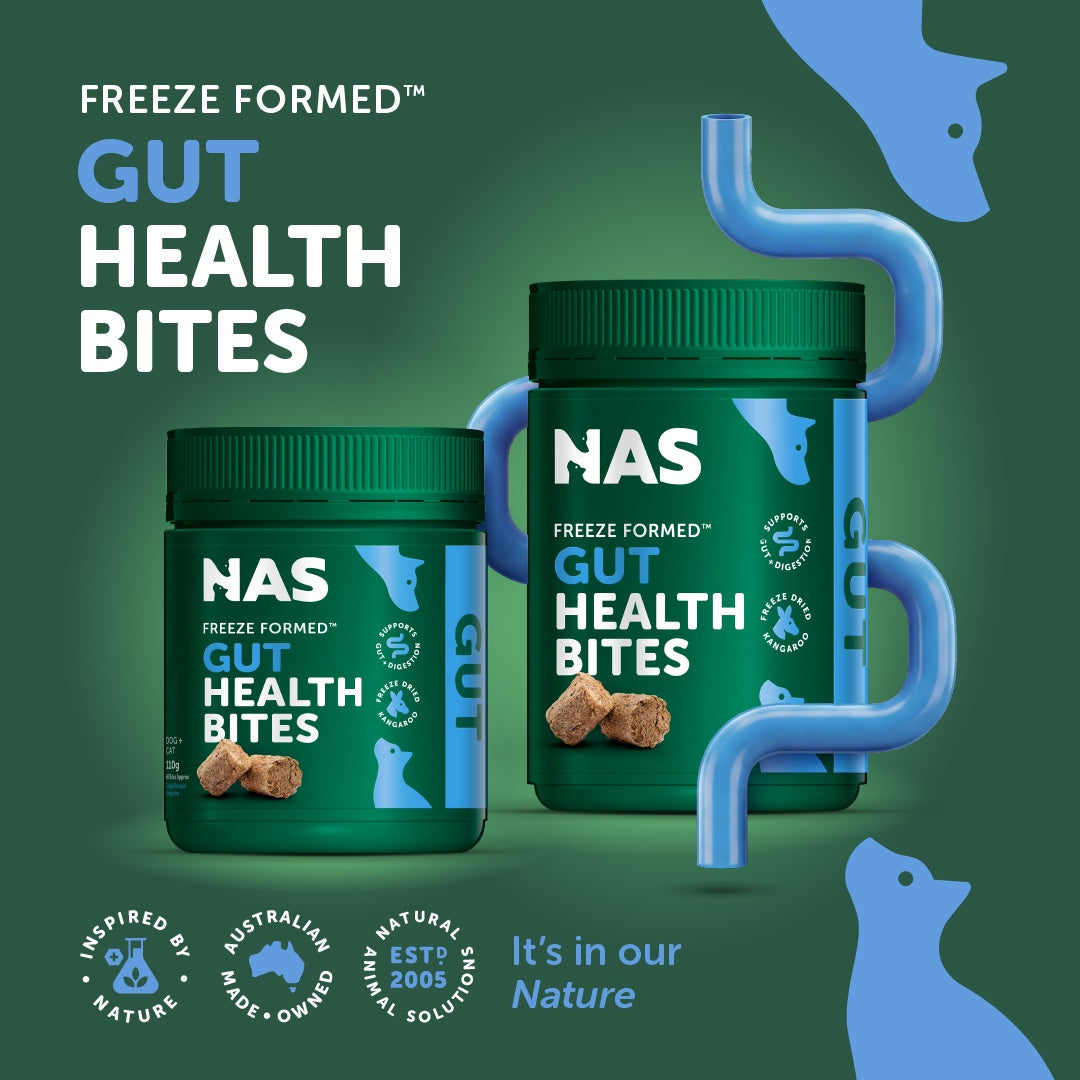 NAS Freeze Formed Gut Health Bites for Dogs & Cats