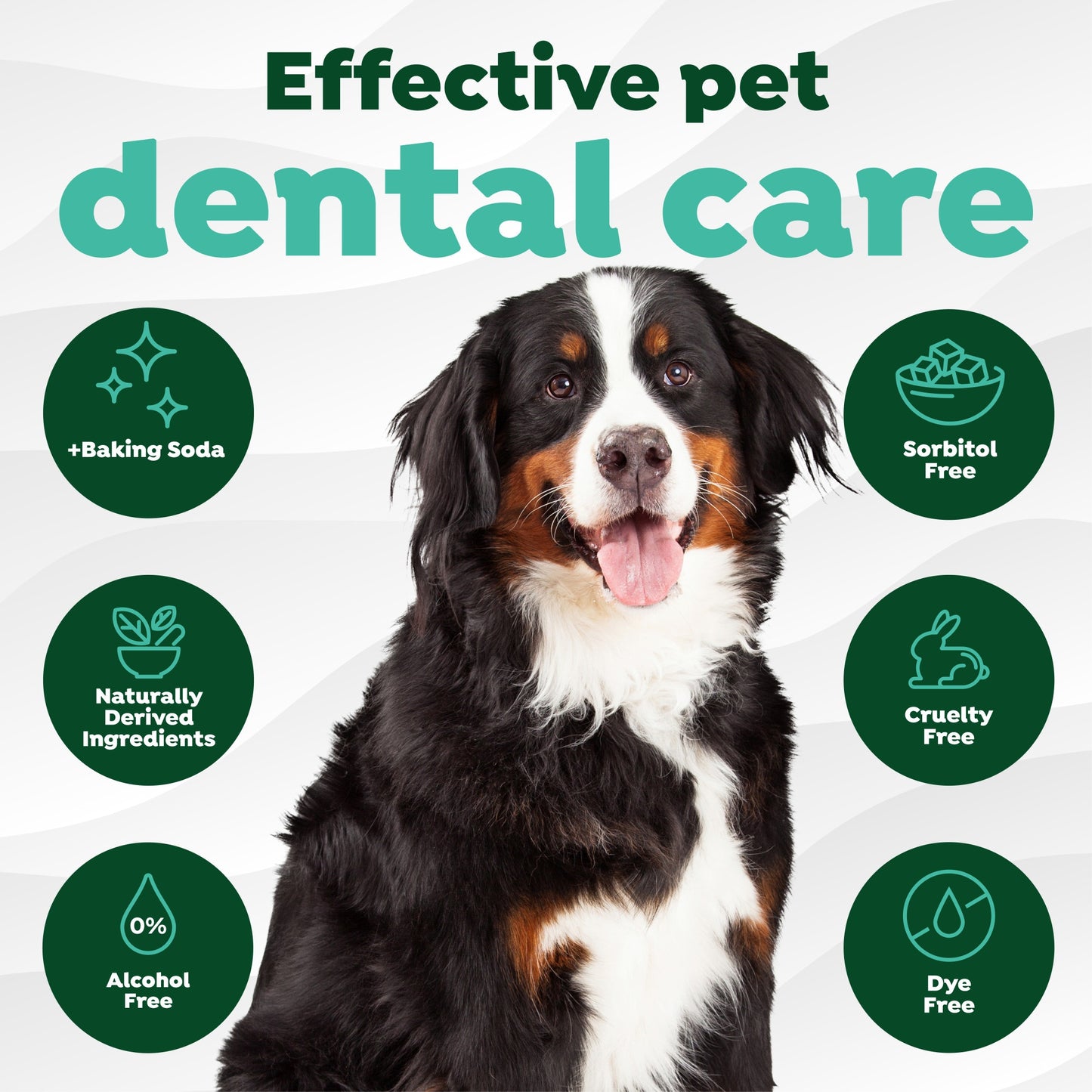 TropiClean Fresh Breath Dog Finger Dental Wipes