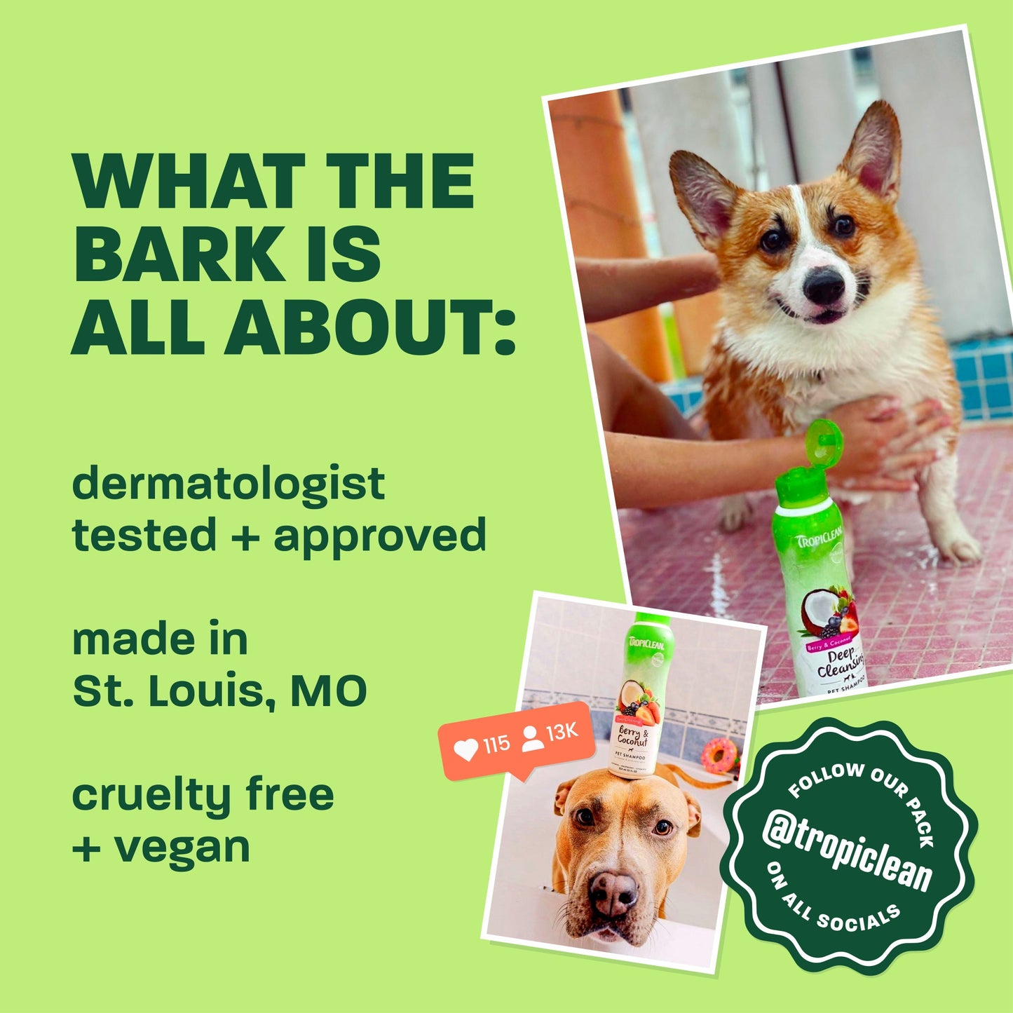 TropiClean Papaya Coconut Dog & Cat Deodorizing Spray