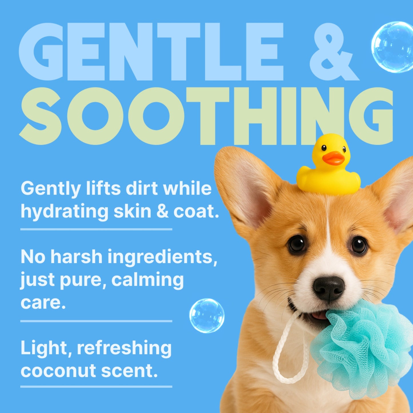 TropiClean Tearless Hypoallergenic Puppy & Kitten Shampoo