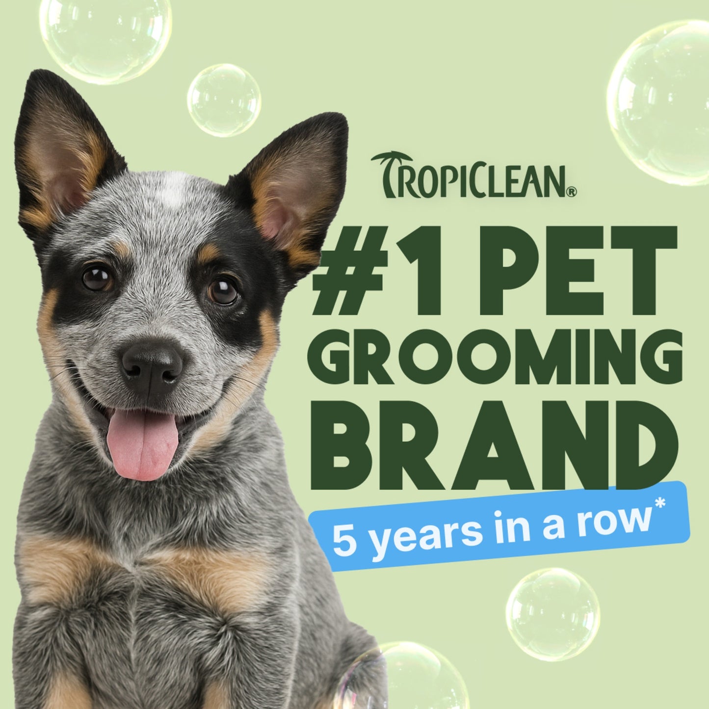 TropiClean Tearless Hypoallergenic Puppy & Kitten Shampoo