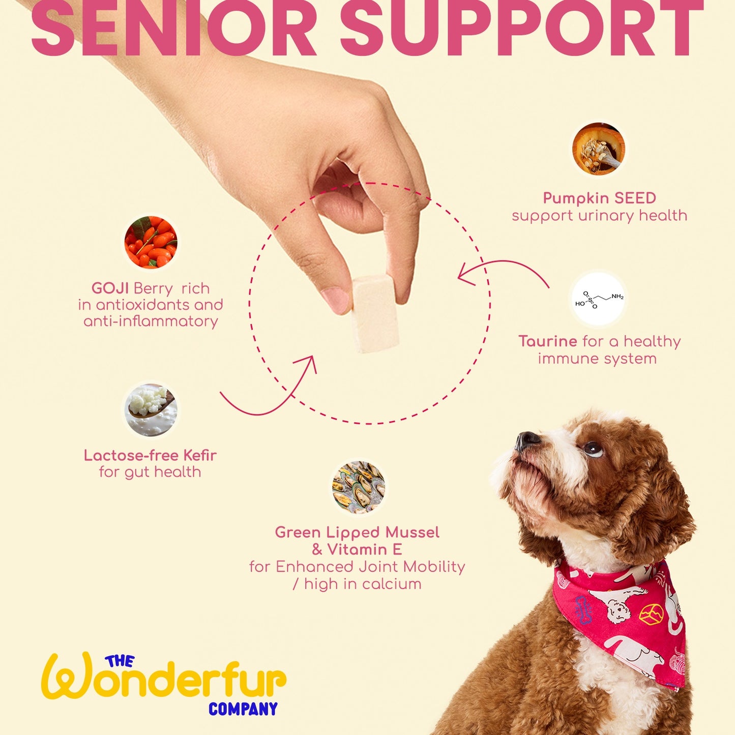 Wonderfur Bites Senior Support Dog Supplement