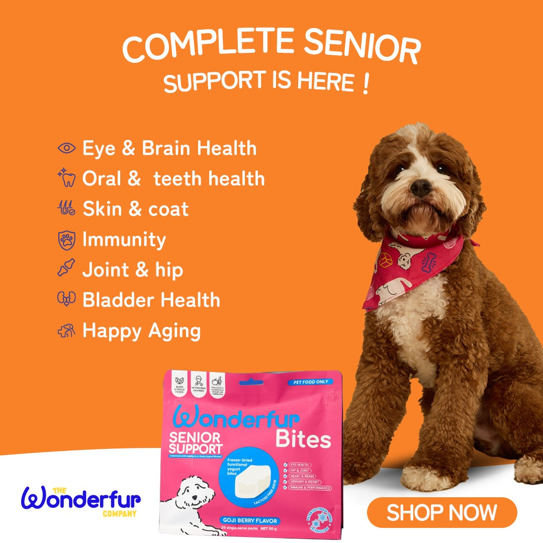Wonderfur Bites Senior Support Dog Supplement
