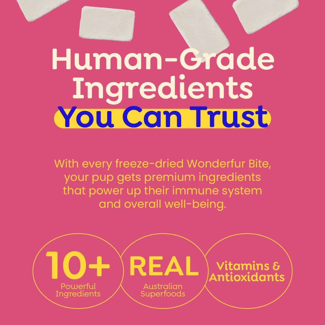 Wonderfur Bites Senior Support Dog Supplement