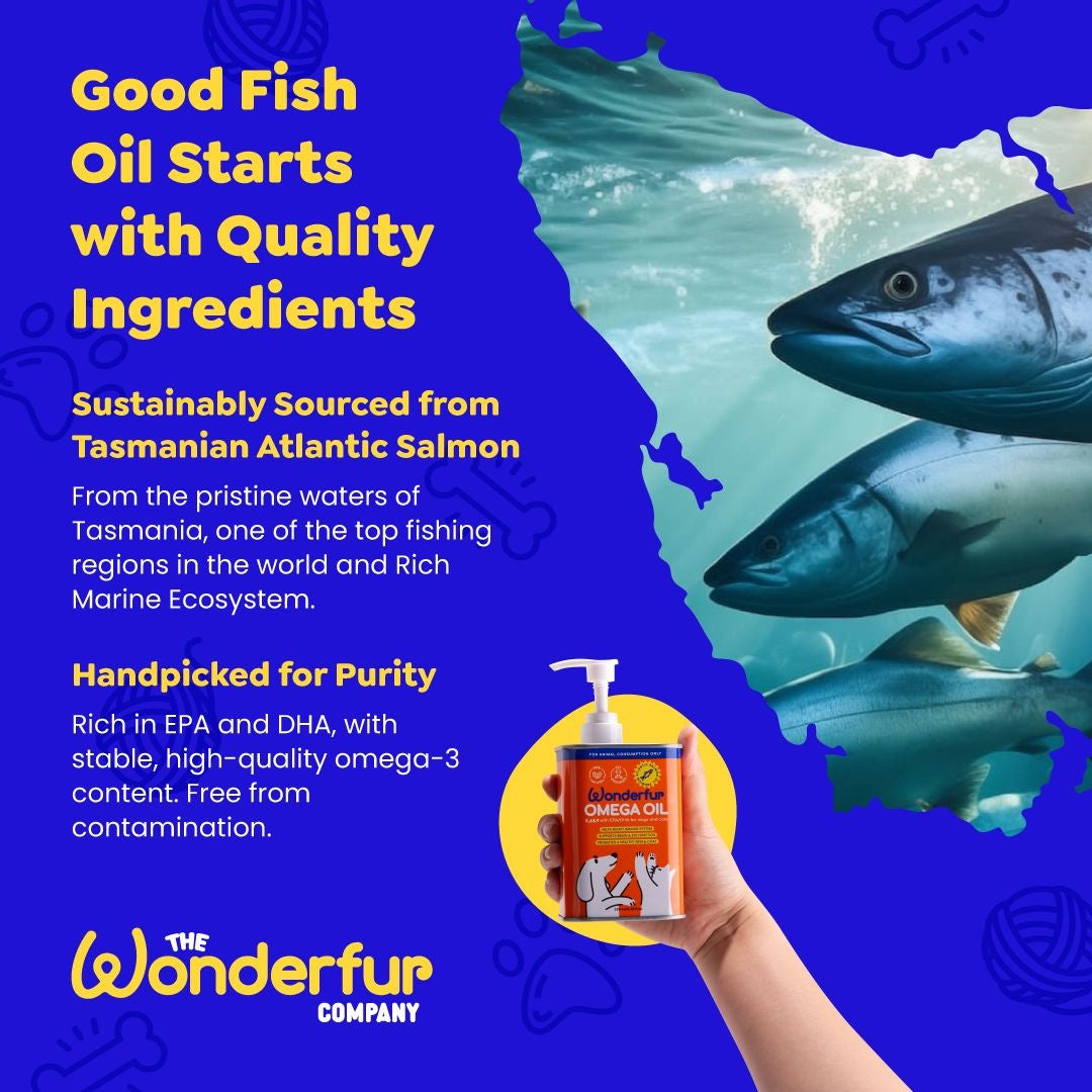 Wonderfur Super Omega Oil Dog & Cat Supplement